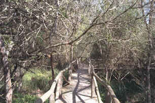 Walk in the Donana Natural Park