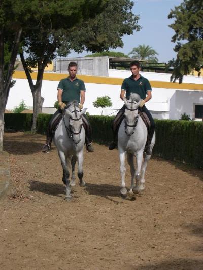 De Koninklijke Berijdende School Andaluzien in Jerez