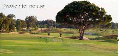 Melia Golf is the third of four courses within 15 minutes of Casa Alhambra